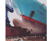 GUSTAV_MAERSK-2.jpg